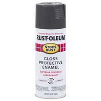 PAINT SPRAY GLO CHRCL GRY 12OZ