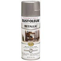 PAINT SPRY IN EX MET SLVR 11OZ