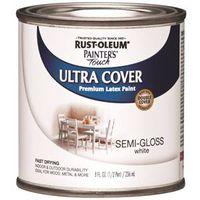 PAINT ACRYLIC SG WHITE 1/2PT