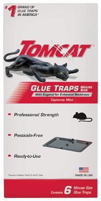 6PK MOUSE GLUE TRAP