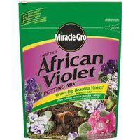 8QT AFRICAN VIOLET MIX