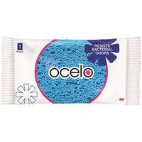 LARGE KITCHEN/HOUSEHOLD SPONGE