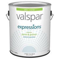 PAINT EXP INT SATIN TINT GAL