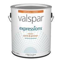 PAINT EXP INT S/G TINT GAL