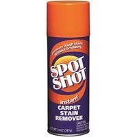 14OZ CRPT STAIN REMOVER