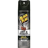 KILLER ANT/ROACH UNSCNT 17.5OZ