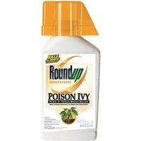 ROUNDUP BRUSH CON QT