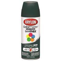 PAINT SPRAY SAT HNTR GRN 12OZ