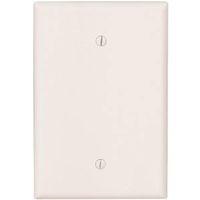 WALL PLATE 1GNG BLANK JUMB WHT