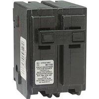 CIRCUIT BREAKER HOM 2P 1IN 15A