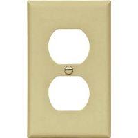 WALL PLATE 1GANG DPLX RECPT IV