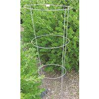 CAGE TOMATO GALVANIZED 12X33IN