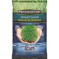 SEED FESCUE/BLUEGRASS MIX 3LB