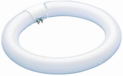 *FLUOR CIRCLINE LAMP FC8T9/CW