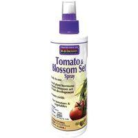 TOMATO/BLOSSOM SET 8OZ