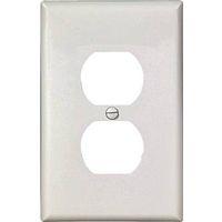 WALL PLATE 1GNG DPLX RECPT WHT