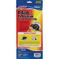 TRAPS RAT/MOUSE GLUE