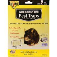 BOARDS GLUE FOR RATS