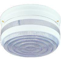 FIXTURE CEIL 2LT FLUSH CLR/WHT
