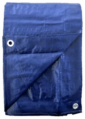 TG 20X30 BLU POLY TARP