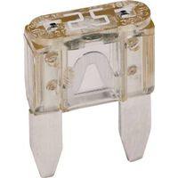 FUSE BLADE AUTO MINI CD5 25A