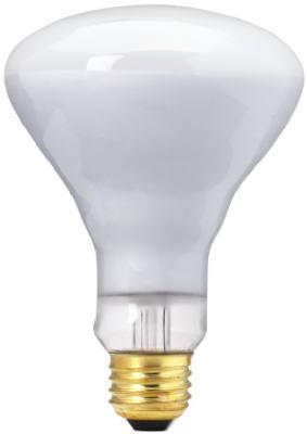 WP 50WBR30 50W FLD Bulb