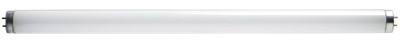 WP 15W T8 Bi Fluo Bulb