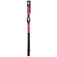 LEASH DOG 3/4IN 6FT PUPPY LOVE