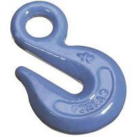 HOOK CHAIN BLUE 1/4IN