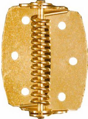 SPRING HINGE BRASS 2IN