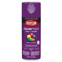 PAINT SPRY GLS RICH PLUM 12OZ