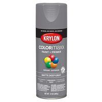 PAINT SPRY MATTE DEEP GRY 12OZ