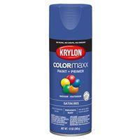 PAINT SPRY STN IRIS 12OZ