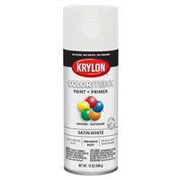 PAINT SPRY STN WHITE 12OZ