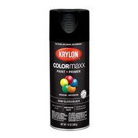 PAINT SPRY SEMI-GLOSS BLK 12OZ