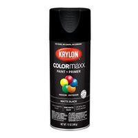 PAINT SPRY MATTE BLACK 12OZ