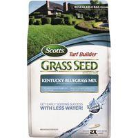 5.6LB KENTUCKY BG SEED