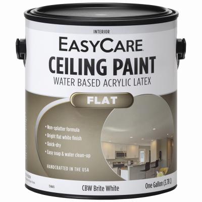 SR GAL WHT CEIL PAINT