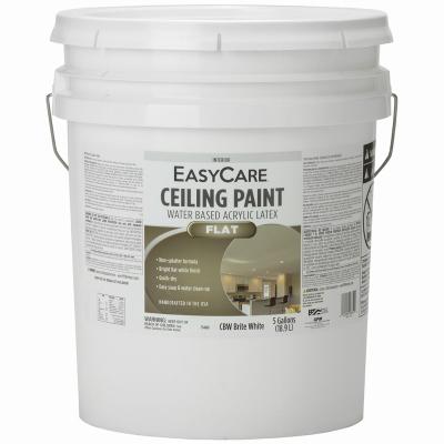 SR 5GAL WHT Ceil Paint