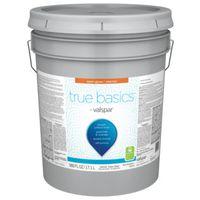 PAINT EXTERIOR SGLS CLR BS 5G