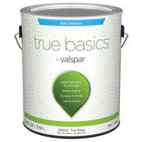 PAINT EXTERIOR FLAT TNT BS 1G