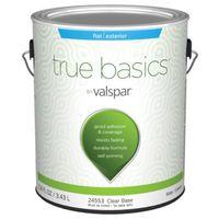 PAINT EXTERIOR FLAT CLR BS 1G