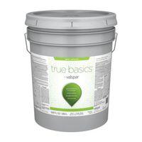 PAINT EXTERIOR SAT PSTL BS 5G