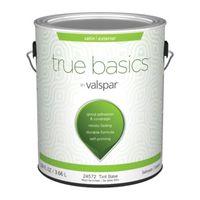PAINT EXTERIOR SAT TINT BS 1G