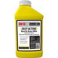 WEED & GRASS KILLER CONC 32OZ