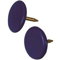 THUMB TACK BLUE