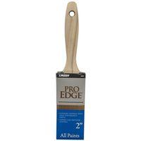 BRUSH WALL POLY BLEND 2IN