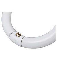 TUBE FLOU T9 G10Q CW 32W 12IN