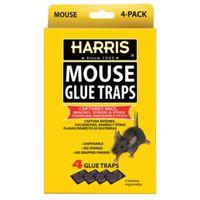 TRAP GLUE MOUSE 4 PK
