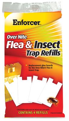 TRAP FLEA REFILL BG4